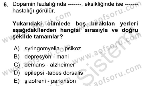 Tıp Terimleri Dersi 2019 - 2020 Yılı (Final) Dönem Sonu Sınav Soruları 6. Soru