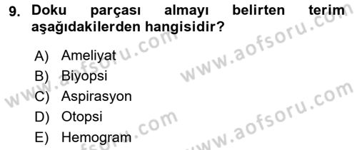 Tıp Terimleri Dersi 2019 - 2020 Yılı (Final) Dönem Sonu Sınav Soruları 9. Soru