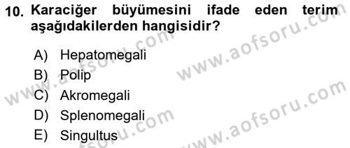 Tıp Terimleri Dersi 2020 - 2021 Yılı Yaz Okulu Sınav Soruları 10. Soru