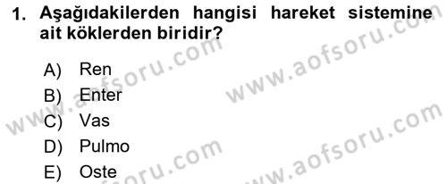 Tıp Terimleri Dersi 2021 - 2022 Yılı (Vize) Ara Sınav Soruları 1. Soru