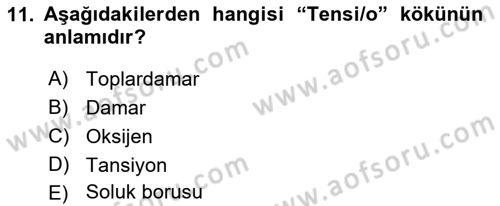 Tıp Terimleri Dersi 2021 - 2022 Yılı (Vize) Ara Sınav Soruları 11. Soru