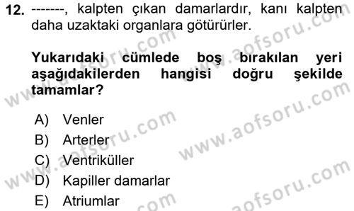 Tıp Terimleri Dersi Ara Sınavı Deneme Sınav Soruları 12. Soru