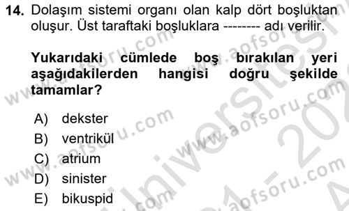 Tıp Terimleri Dersi Ara Sınavı Deneme Sınav Soruları 14. Soru