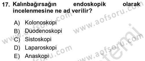 Tıp Terimleri Dersi 2021 - 2022 Yılı (Vize) Ara Sınav Soruları 17. Soru
