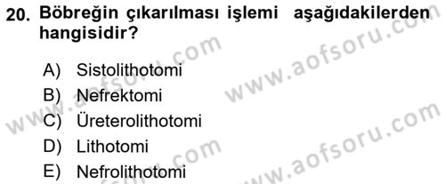 Tıp Terimleri Dersi Ara Sınavı Deneme Sınav Soruları 20. Soru
