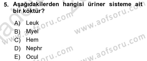 Tıp Terimleri Dersi 2021 - 2022 Yılı (Vize) Ara Sınav Soruları 5. Soru