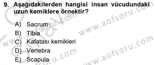 Tıp Terimleri Dersi 2021 - 2022 Yılı (Vize) Ara Sınav Soruları 9. Soru