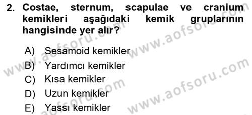 Tıp Terimleri Dersi 2021 - 2022 Yılı (Final) Dönem Sonu Sınav Soruları 2. Soru