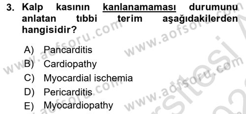 Tıp Terimleri Dersi 2021 - 2022 Yılı (Final) Dönem Sonu Sınav Soruları 3. Soru