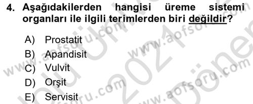 Tıp Terimleri Dersi 2021 - 2022 Yılı (Final) Dönem Sonu Sınav Soruları 4. Soru