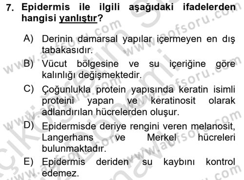 Tıp Terimleri Dersi 2021 - 2022 Yılı (Final) Dönem Sonu Sınavı 7. Soru