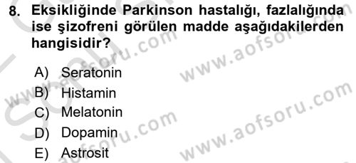 Tıp Terimleri Dersi 2021 - 2022 Yılı (Final) Dönem Sonu Sınavı 8. Soru