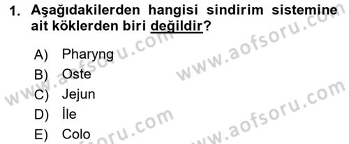 Tıp Terimleri Dersi 2021 - 2022 Yılı Yaz Okulu Sınavı 1. Soru