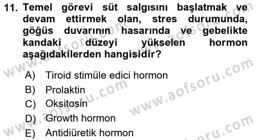 Tıp Terimleri Dersi 2021 - 2022 Yılı Yaz Okulu Sınavı 11. Soru