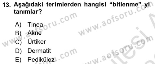 Tıp Terimleri Dersi 2021 - 2022 Yılı Yaz Okulu Sınavı 13. Soru