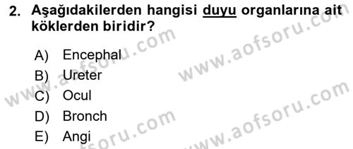 Tıp Terimleri Dersi 2021 - 2022 Yılı Yaz Okulu Sınavı 2. Soru