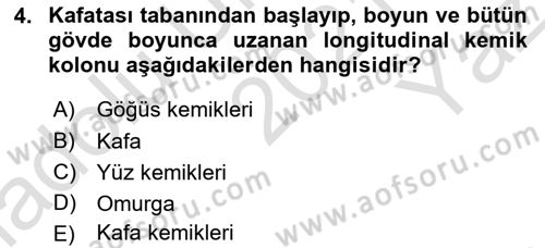 Tıp Terimleri Dersi 2021 - 2022 Yılı Yaz Okulu Sınavı 4. Soru