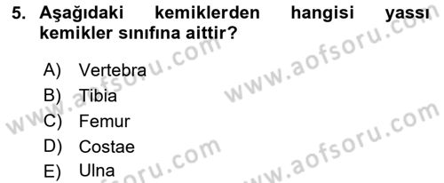 Tıp Terimleri Dersi 2021 - 2022 Yılı Yaz Okulu Sınavı 5. Soru