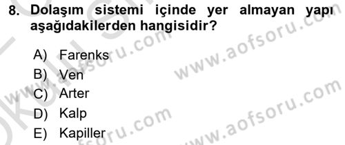 Tıp Terimleri Dersi 2021 - 2022 Yılı Yaz Okulu Sınavı 8. Soru