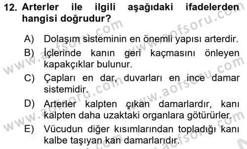 Tıp Terimleri Dersi 2022 - 2023 Yılı (Vize) Ara Sınav Soruları 12. Soru