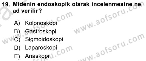 Tıp Terimleri Dersi Ara Sınavı Deneme Sınav Soruları 19. Soru