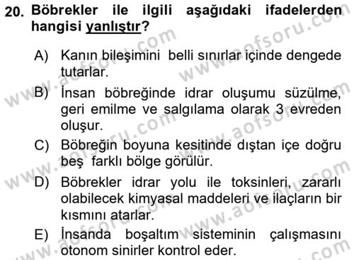Tıp Terimleri Dersi 2022 - 2023 Yılı (Vize) Ara Sınav Soruları 20. Soru