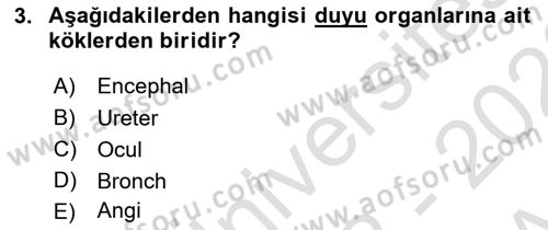 Tıp Terimleri Dersi 2022 - 2023 Yılı (Vize) Ara Sınav Soruları 3. Soru