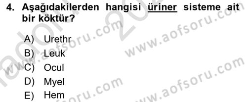 Tıp Terimleri Dersi 2022 - 2023 Yılı (Vize) Ara Sınav Soruları 4. Soru