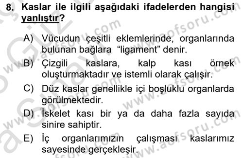 Tıp Terimleri Dersi 2022 - 2023 Yılı (Vize) Ara Sınav Soruları 8. Soru