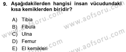 Tıp Terimleri Dersi 2022 - 2023 Yılı (Vize) Ara Sınav Soruları 9. Soru