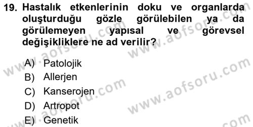 Tıp Terimleri Dersi 2022 - 2023 Yılı (Final) Dönem Sonu Sınav Soruları 19. Soru