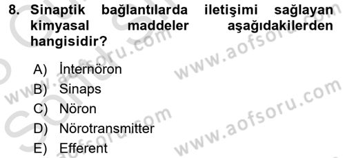 Tıp Terimleri Dersi 2022 - 2023 Yılı (Final) Dönem Sonu Sınav Soruları 8. Soru