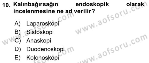 Tıp Terimleri Dersi 2022 - 2023 Yılı Yaz Okulu Sınav Soruları 10. Soru