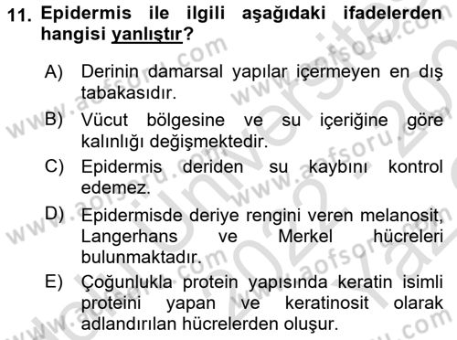Tıp Terimleri Dersi 2022 - 2023 Yılı Yaz Okulu Sınav Soruları 11. Soru