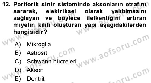 Tıp Terimleri Dersi 2022 - 2023 Yılı Yaz Okulu Sınav Soruları 12. Soru