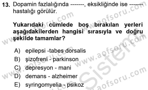 Tıp Terimleri Dersi 2022 - 2023 Yılı Yaz Okulu Sınav Soruları 13. Soru