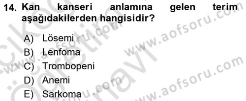 Tıp Terimleri Dersi 2022 - 2023 Yılı Yaz Okulu Sınav Soruları 14. Soru
