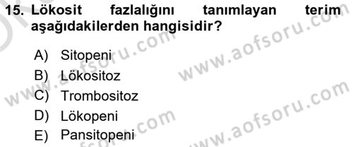 Tıp Terimleri Dersi 2022 - 2023 Yılı Yaz Okulu Sınavı 15. Soru