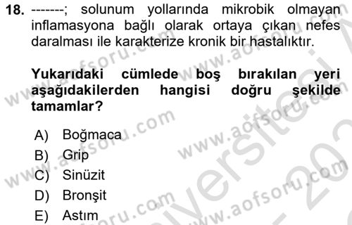 Tıp Terimleri Dersi 2022 - 2023 Yılı Yaz Okulu Sınavı 18. Soru