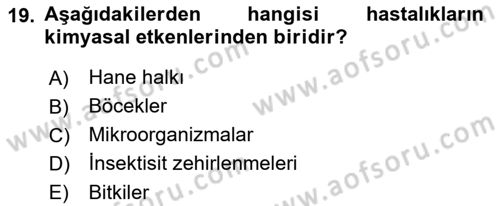 Tıp Terimleri Dersi 2022 - 2023 Yılı Yaz Okulu Sınav Soruları 19. Soru