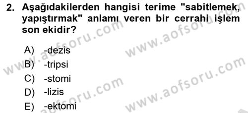 Tıp Terimleri Dersi 2022 - 2023 Yılı Yaz Okulu Sınav Soruları 2. Soru