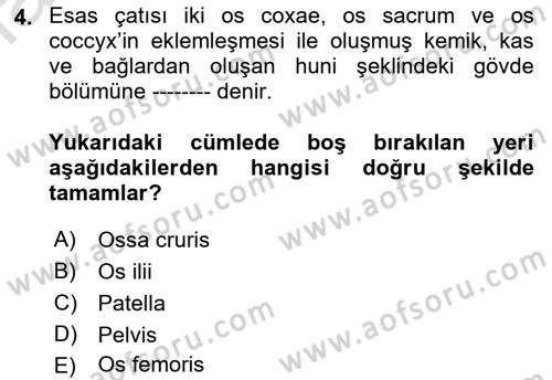 Tıp Terimleri Dersi 2022 - 2023 Yılı Yaz Okulu Sınav Soruları 4. Soru