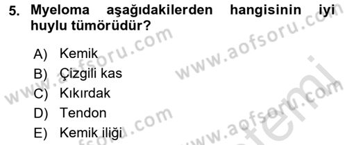 Tıp Terimleri Dersi 2022 - 2023 Yılı Yaz Okulu Sınav Soruları 5. Soru