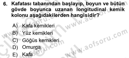 Tıp Terimleri Dersi 2022 - 2023 Yılı Yaz Okulu Sınav Soruları 6. Soru