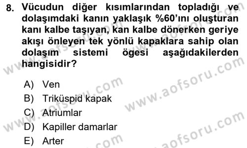 Tıp Terimleri Dersi 2022 - 2023 Yılı Yaz Okulu Sınav Soruları 8. Soru