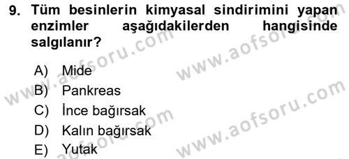Tıp Terimleri Dersi 2022 - 2023 Yılı Yaz Okulu Sınav Soruları 9. Soru