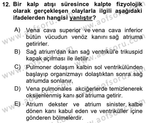 Tıp Terimleri Dersi 2023 - 2024 Yılı (Vize) Ara Sınav Soruları 12. Soru