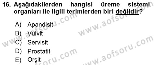 Tıp Terimleri Dersi 2023 - 2024 Yılı (Vize) Ara Sınav Soruları 16. Soru