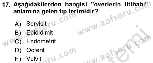 Tıp Terimleri Dersi 2023 - 2024 Yılı (Vize) Ara Sınav Soruları 17. Soru