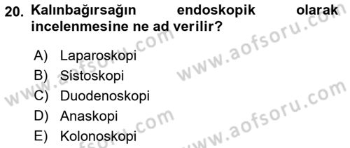 Tıp Terimleri Dersi Ara Sınavı Deneme Sınav Soruları 20. Soru